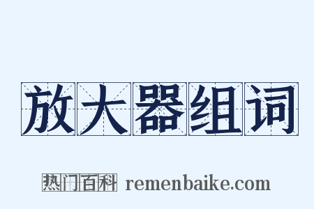 放大器组词是什么意思的图片